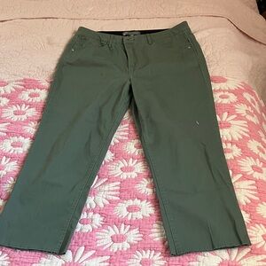 Wit & Wisdom Sage Green Trousers